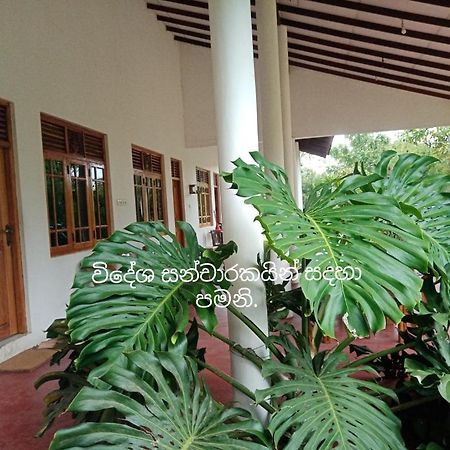 Ruins Villa Polonnaruwa Exterior foto