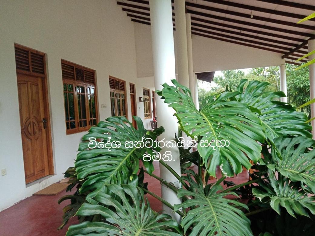 Ruins Villa Polonnaruwa Exterior foto